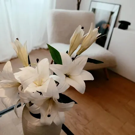 Apartman Prince 스플리트